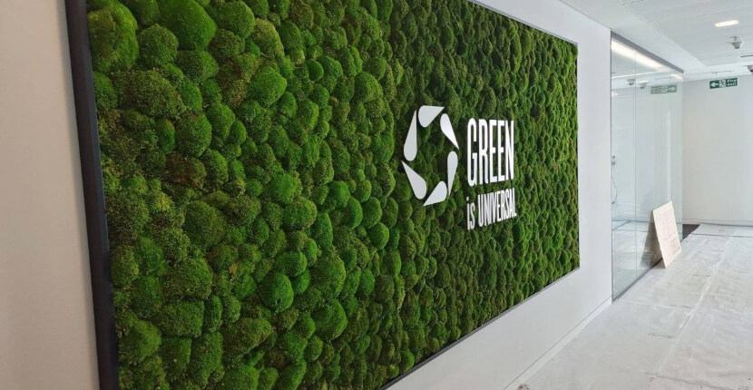 Green Wall Office Leicestershire